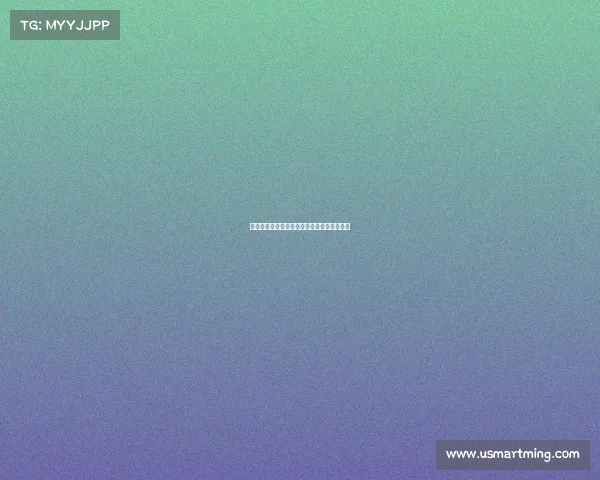 香港赛事便利化全面升级助力高效运作新体验