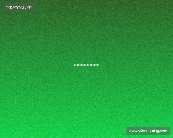 中国网球公开赛历史长卷璀璨足迹回望 中国网球公开赛历史长卷璀璨足迹回望