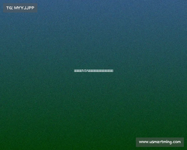 二零零四年NBA总决赛活塞爆冷击败湖人勇夺总冠军